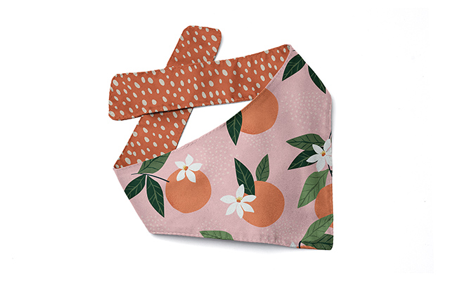 Premium Pet Bandanas