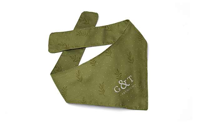 Premium Pet Bandanas - Image 4