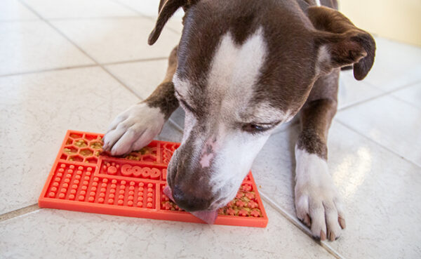 Siligrams® Pet Lick Mats - Image 4